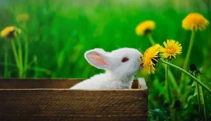 银河娱乐|综合体育赛事v6.8.2